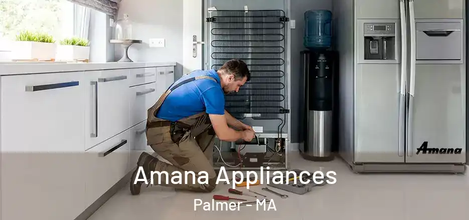 Amana Appliances Palmer - MA