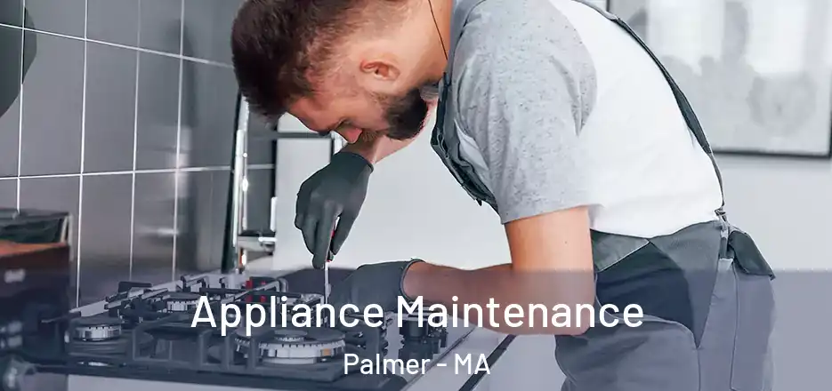  Appliance Maintenance Palmer - MA