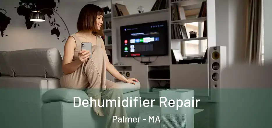 Dehumidifier Repair Palmer - MA