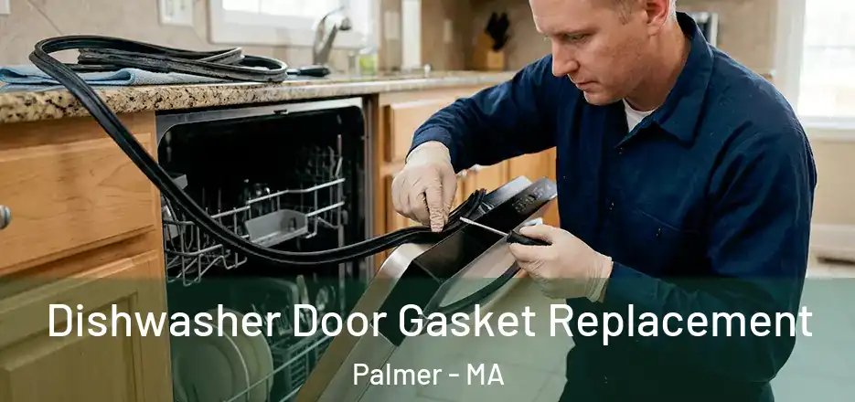  Dishwasher Door Gasket Replacement Palmer - MA