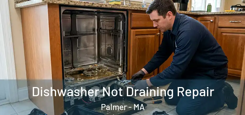  Dishwasher Not Draining Repair Palmer - MA