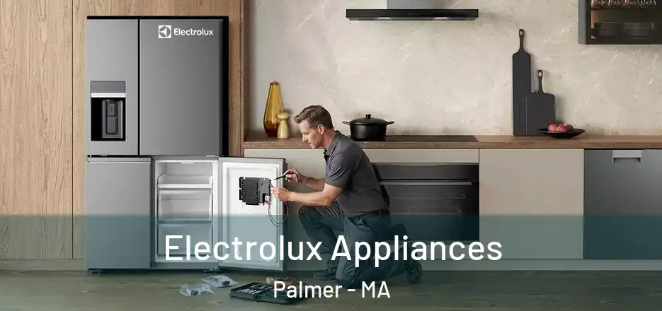  Electrolux Appliances Palmer - MA