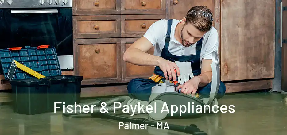  Fisher & Paykel Appliances Palmer - MA