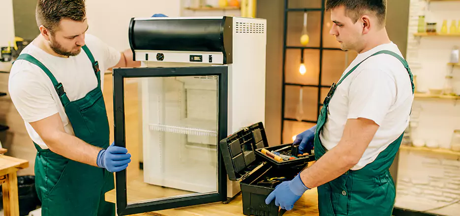 Freezer Repair in Palmer