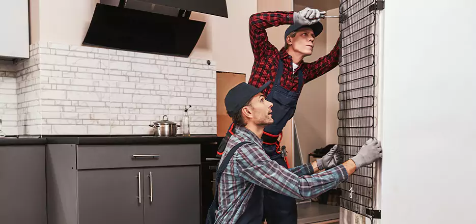Refrigerator Freezer Repair in Palmer