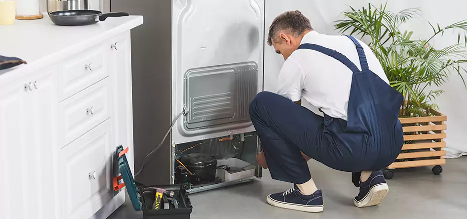 Refrigerator Cooling Repair in Palmer