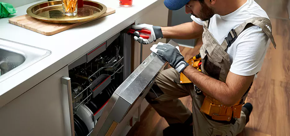 Same Day Dishwasher Not Draining Repair in Palmer