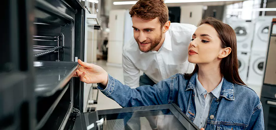 Shark Appliance Battery Service in Palmer