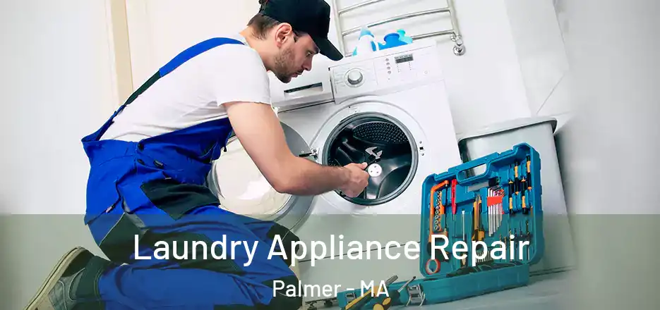  Laundry Appliance Repair Palmer - MA