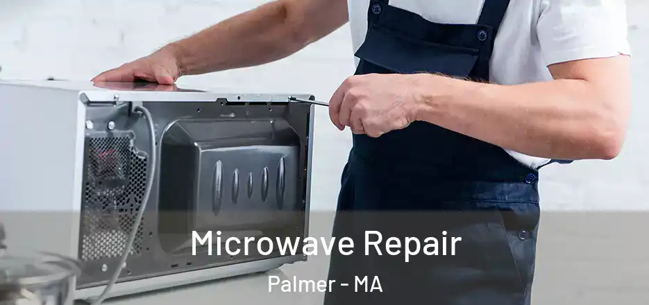 Microwave Repair Palmer - MA