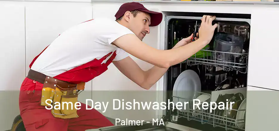Same Day Dishwasher Repair Palmer - MA