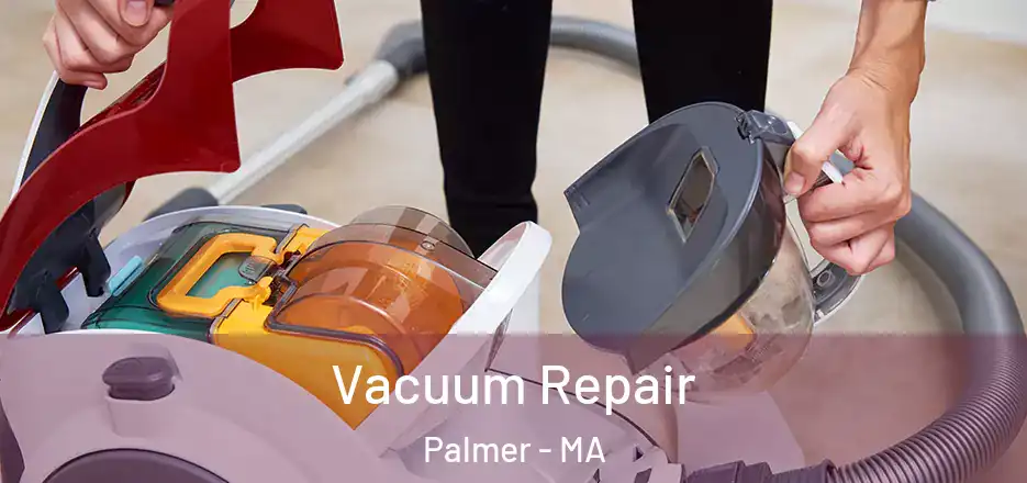 Vacuum Repair Palmer - MA